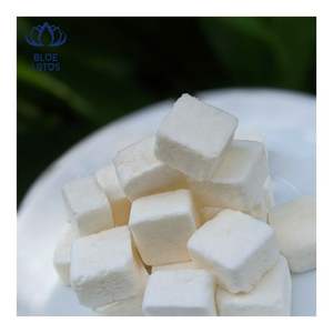 Yogourts en bouchées les plus vendus – Yogourts moelleux pour collations et garnitures de desserts, parfaits pour les coupes de yogourt et la crème glacée - Product Image 2