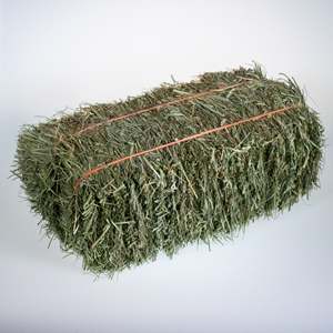 Heno de Alfalfa Verde Limpio y Natural en Pacas Secas para Alimentación de Ganado, Ovejas y Caballos, 100% con Empaque a Granel para Importadores - Product Image 3