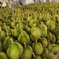 Verse Thaise Durian Export Premium Kwaliteit Groothandel Zuid-Korea VS Thailand Wereldwijd Monthong Romige 500g 14 Dagen Houdbaarheid