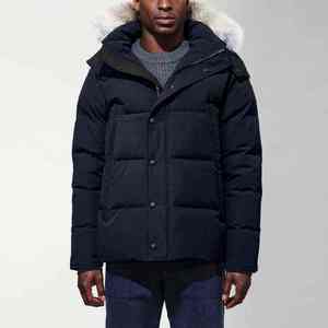 Veste matelassée de haute qualité pour homme, vêtement décontracté pour homme, manteau d'hiver, col montant, veste matelassée épaisse et isolante, style tendance - Product Image 4