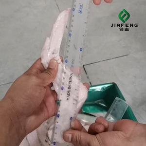 Ailes de canard surgelées de qualité A, trois articulations, sans peau, ailes de canard en option pour la cuisine - Product Image 5