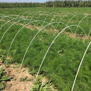 Flexible Fiberglass <b>Support</b> <b>Frame</b> Rust-Proof Greenhouse Hoops Cutting Service-3mm-7mm Diameter Solid Rod Vegetable Vault TOPFRP - Product Image 2