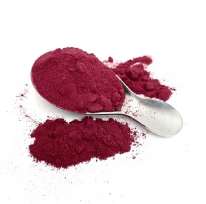 Poudre de Betterave Rouge 100% Naturelle de Qualité Supérieure, Meilleure Vente, Qualité Alimentaire, Fabrication OEM ODM, Vente en Gros, Qualité Export - Product Image 3