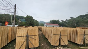 100% Natural Vietnam Rubberwood Rotary Veneer Eco-Friendly & Durable for Plywood Boards - Product Image 2