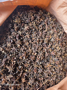 Suministro Directo de Granjas, Anís Estrellado Seco de Vietnam Sin Azufre para Cocinar, Excelente Calidad, 12 Meses de Vida Útil - Product Image 2