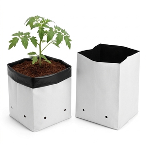 Bolsas de Cultivo de Fibra de Coco y Cáscara de Coco para Venta al por Menor, Hechas de Plástico, Capacidad de 1000 ml, para Cultivo Hidropónico de Plantas - Product Image 2