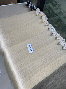 Extensions de cheveux Nasa Hair Premium 20-26 pouces 100% Remy vierges vietnamiennes, trame machine, super double drawn, blond ton froid - Product Image 4