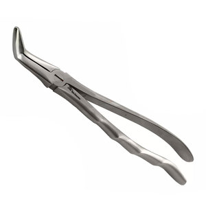 Pinzas de Extracción Dental de Pico Largo para un Agarre Preciso y una Extracción Eficiente de Dientes en Procedimientos Dentales Profesionales - Product Image 6
