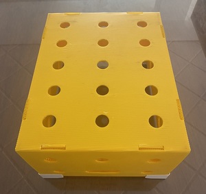 Tấm nhựa PP tùy chỉnh <span class=keywords><strong>in</strong></span> và cắt để đặt hàng cho các giải pháp đóng gói - Product Image 1