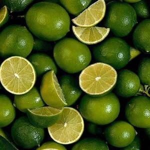 Meilleur prix Citrons verts frais sans pépins Taille 4,5-6 cm Paquet de 10 kg Durée de conservation de 5 mois Certifié HACCP ISO Origine Vietnam/Hazel - Product Image 6