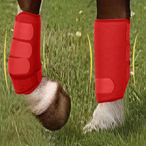 Bottes de soin élastiques pour chevaux, confort et soutien, avec bandages avancés pour le soin des articulations - Product Image 4