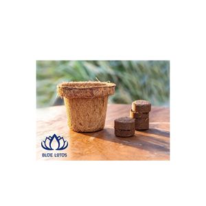 Pot en fibre de coco écologique Blue Lotus, très demandé |   Pot de fleurs rond biodégradable pour plantes d'intérieur - Product Image 1