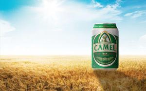 Lot de bières à vapeur foncée de blé de haute qualité canettes de 330ml emballage en vrac de boîte de marque privée personnalisable bière Lager incluse - Product Image 4