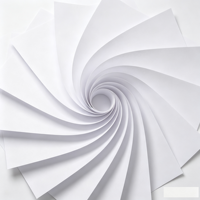 Papier multi-usage A4 Premium COPY A 70/75/80 g/m² 500 feuilles/rame, faible électrostatique, en pâte de bois vierge