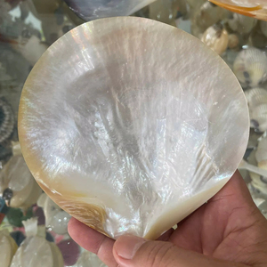 จานเปลือกหอยมุกธรรมชาติขัดเงา ถาดเปลือกหอยทะเล จานใส่ไข่ปลาคาเวียร์ งานฝีมือสุดหรู ของขวัญแฮนด์เมด ขายส่ง ราคาพิเศษ - Product Image 1
