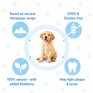 Himalayan <b>Yak</b> <b>Chews</b> for Dogs Hard Cheese Treat Long Lasting Chewing Dental Cleaning High Protein All Breeds Wholesale OEM Supply - Product Image 5