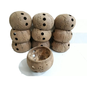 Rustic Coconut Shell Scented Flower <b>Pot</b> with Drainage Hole Customizable Pattern Hanging Eco-Friendly <b>Plant</b> Planter - Product Image 1