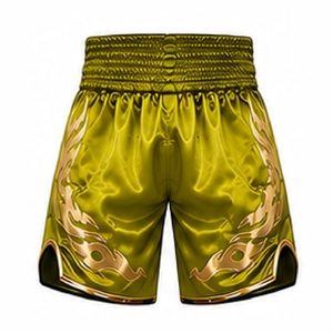 OEM Muay Thai Shorts Custom Printed Boxing Kickboxing Fight Training Sports Shorts For Men And Teams - Product Image 5