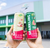 Wana OEM ODM Vietnam Échantillon Gratuit 320ml Boisson Gazeuse Fruitée Énergisante Vitamines Minéraux Saine Rafraîchissante Quotidienne en Boîte