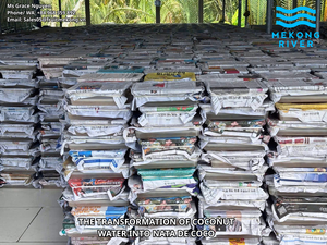 เกรซ +84 968 359 892 รับผลิตวุ้นมะพร้าวแบบดิบ ขายส่งจำนวนมาก รับผลิตแบบ OEM ODM แบรนด์ส่วนตัว โรงงานผลิตโดยตรงจากเวียดนาม - Product Image 6