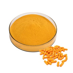 Produit le plus vendu : Poudre de curcuma pure et naturelle, extrait de plantes en poudre, au prix de gros auprès de fournisseurs indiens - Product Image 3