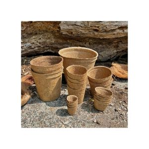 Meilleures ventes : Pot en fibre de coco traité pour la culture professionnelle des plantes et récipient robuste pour la conception innovante d'espaces verts - Product Image 6