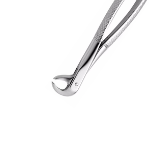 Pinzas de Extracción Dental Plateadas con Empuñadura Manual Moleteada, Instrumento Quirúrgico Clase I, Equipo Dental Manual - Product Image 5