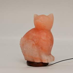Lámpara de Sal del Himalaya, Luz de Sal Rosa Natural con Forma de Animal, Diseño Moderno, Resistente al Fuego, para Sala de Estar y Cocina - Product Image 2