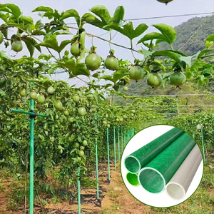 Tuteur en fibre de verre FRP durable pour plantes grimpantes, idéal pour le soutien des arbres fruitiers et des plantes de jardin (fruits de la passion) - Product Image 2