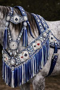 2026 Más Vendido Conjunto de Cabestro, Riñonera y Collarín para Caballo de Cuero Estilo Western Hecho a Mano y Grabado a Mano con Pedrería Azul Playing Card - Product Image 4