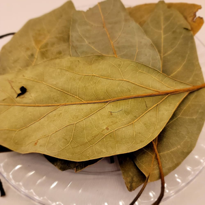 Hoja de Aguacate Seca, Proveedor de Hoja de Aguacate Seca, Bolsitas de Té Verde de Aguacate Seco ANGLE - Product Image 5