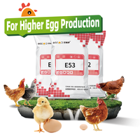 Premezcla para Gallinas Ponedoras con Rendimiento Orientado a la Rentabilidad (ROI) del 5% para un Mayor Margen de Ganancia por Huevo
