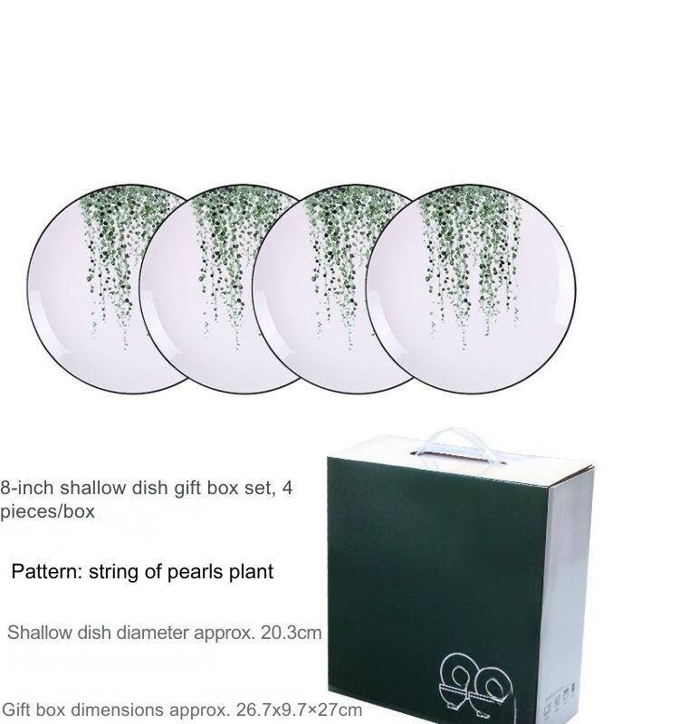string of pearls plant