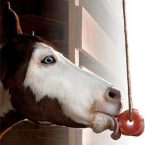 Bloc de sel minéral rose et gris pour animaux, supplément naturel pour la croissance, la force et la productivité saine du bétail - Product Image 3