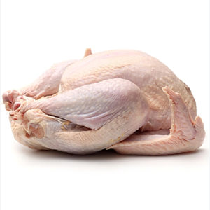 Pollo Halal Congelado Entero, Listo para Comercio Global, Producido con Aves de Corral Criadas en Granja Bajo un Control de Procesamiento Auténtico y Halal - Product Image 2