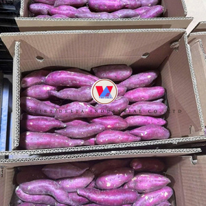 PATATAS DULCES CONGELADAS AL POR MAYOR DIRECTAMENTE DE LA FÁBRICA, PATATAS DULCES CONGELADAS NATURALMENTE, NUEVA COSECHA. - Product Image 5