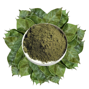 Dried Soursop Leaves Fermented Broken Black <b>Tea</b> Brew Hot Water Organic Health Non-Sugar 50gr 25 <b>Tea</b> Bags/<b>Box</b> EXPAD CO Grade a - Product Image 3