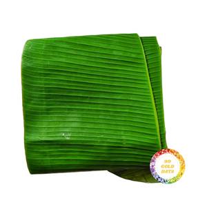 Feuilles de bananier fraîches de qualité supérieure en vrac, grandes, vertes, premium, pour la cuisine traditionnelle, emballage, feuilles de bananier fraîches naturelles pour l'exportation - Product Image 2