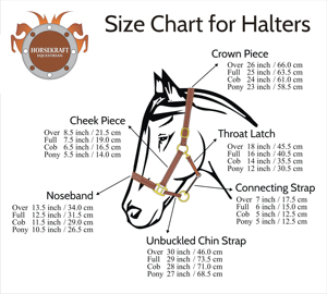 Horsekraft Collier de dressage en cuir italien rembourré, confortable, de qualité supérieure, avec boucle en laiton cousue assortie - Product Image 6