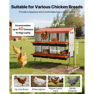 Nidi per Galline in Plastica ad Alta Resistenza, 8 Scomparti, Facile Raccolta delle Uova, Gambe di Supporto in Acciaio Zincato, Tipo Automatico - Product Image 2