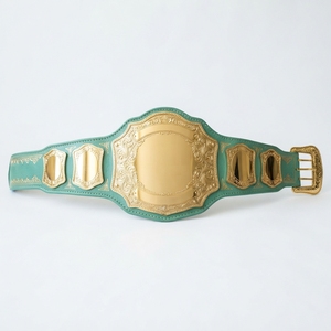 Ceinture de récompense sportive personnalisée pour championnat de lutte et de boxe, trophée de compétition, plaques métalliques, sangle en cuir, design personnalisé - Product Image 4