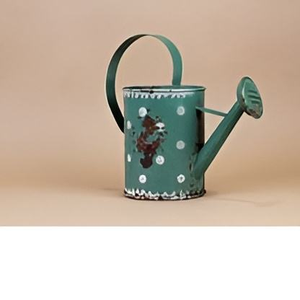 Regadera galvanizada de bajo precio, forma y tamaño personalizados, regadera de alta calidad para decoración de jardín en India - Product Image 1