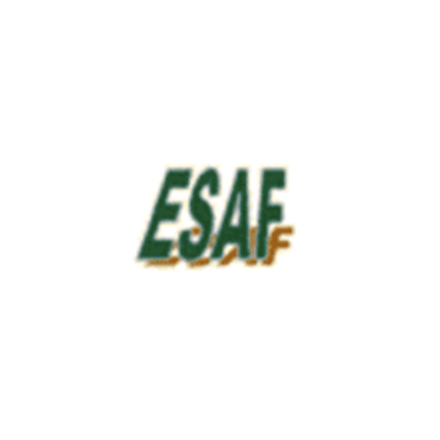 ESAF - RESISTENZE ELETTRICHE logo