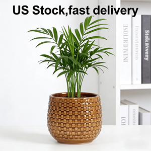 Juego de Macetas de Cerámica Hechas a Mano en Negro Brillante, Estilo Americano Moderno, Ecológicas para Macetas - Product Image 2