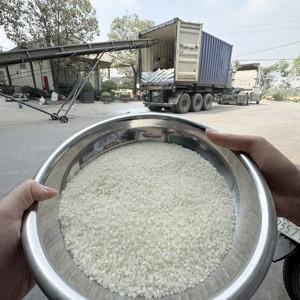 ข้าวญี่ปุ่นคุณภาพเยี่ยมสำหรับซูชิ ความเสียหายสูงสุด 3% |   บรรจุภัณฑ์ 1–50 กก. |   ผลผลิตใหม่ปี 2026 (จอยซ์) - Product Image 5