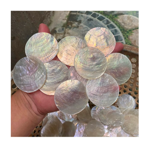 Coquillages de Capiz 100% naturels pour l'artisanat, la décoration intérieure, les projets de design et la fourniture en gros de matériaux en coquillages - Product Image 3