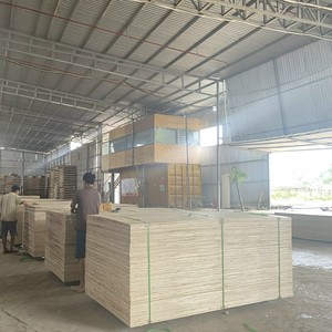 Contrachapados Comerciales de Alta Calidad, Contrachapado BC Más Vendido al por Mayor, para Uso en Embalaje, de Fabricante Vietnamita - Product Image 4