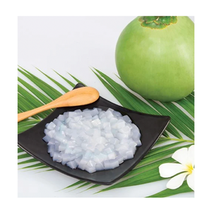 Jalea de Coco Dulce en Almíbar, Cubos de Nata de Coco, Jalea de Frutas, Adorno para Té de Burbujas y Yogur, Proveedor de Vietnam - Product Image 6