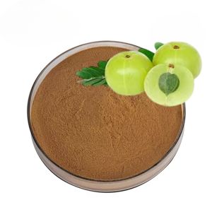 Polvo de Amla 100% Puro y Natural Más Vendido para el Cuidado de la Piel y el Cabello, Polvo de Grosella Indio de Alta Calidad al por Mayor desde India - Product Image 1