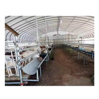 QCF017 Gallinero/Corral para Aves de Corral/Establo para Vacas/Corral para Ovejas de Estructura de Acero Prefabricada, Económico y de Fácil Instalación, Personalizable Según Se Solicite
